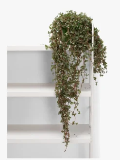 Alice & Fox Skrivebord Billie m. Opbevaring