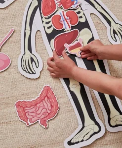 Barbo Toys Body Puslespil Dreng 36 Brikker