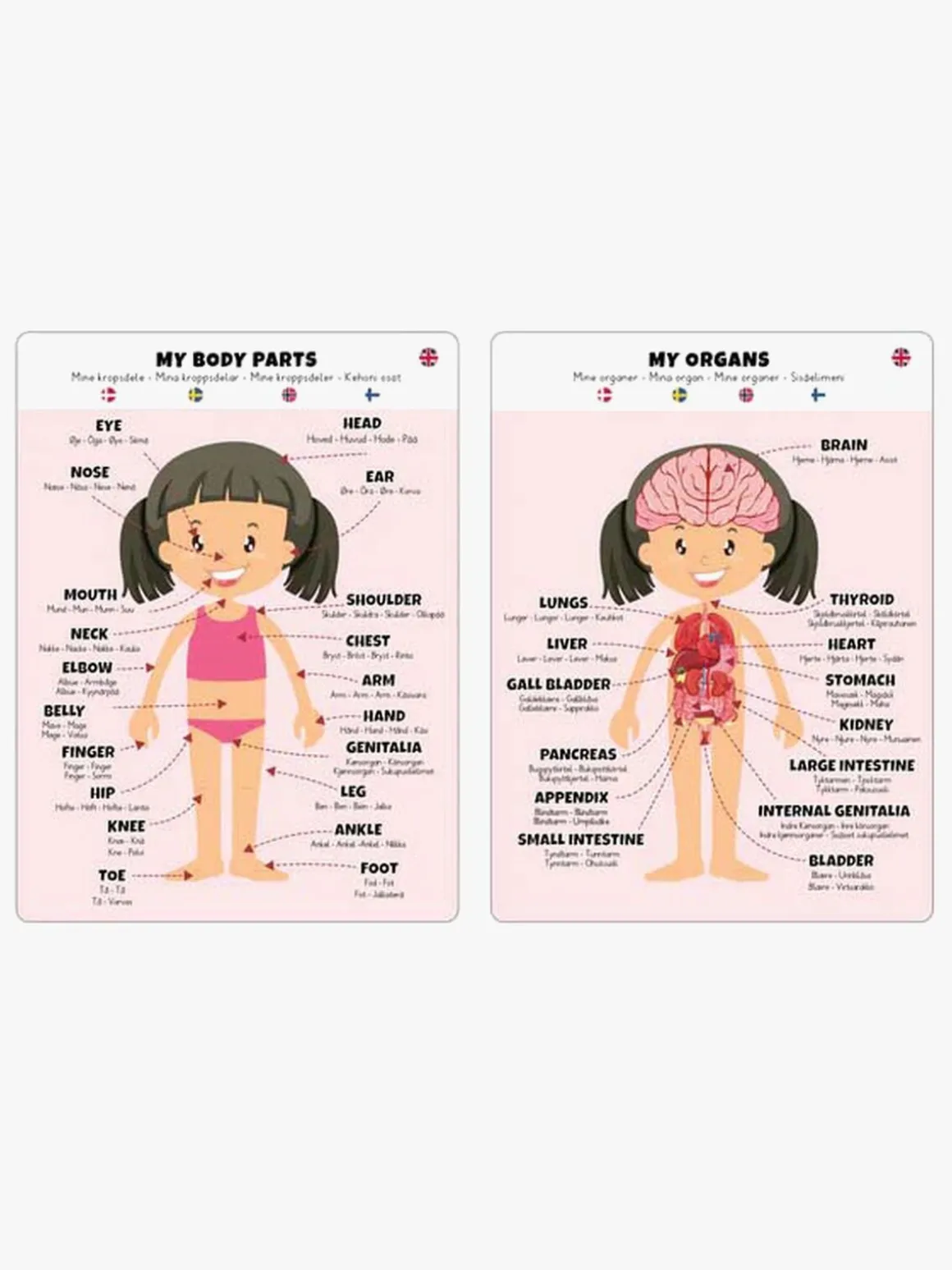 Barbo Toys Body Puslespil Pige 36 Brikker