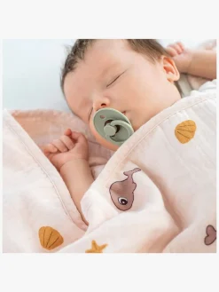 Done By Deer Stofble GOTS Wally, Powder