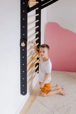 Duck Woodworks Klatretrekant Væg, Sort