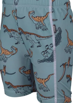 Lindberg Bermuda Badebukser, Goblin Blue