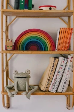 Lorena Canals Opbevaringskurv Mini Fred the Frog