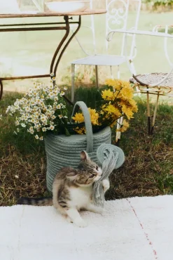 Lorena Canals Opbevaringskurv Vandkande