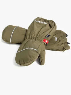 Nordbjørn Peak Vanter, Fern