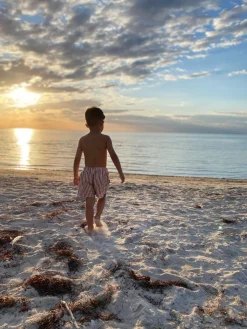 Nordbjørn Solarino Badebukser, Brown Stripe