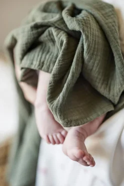 Oh, Poppy! Holly Stofble 2-Pak, Fresh Vanilla/ Forest Green