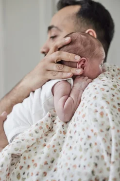 Oh, Poppy! Holly Stofble 2-Pak, Fresh Vanilla/ Forest Green