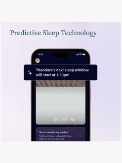 Owlet Dream Sock Babyalarm inkl. Owlet Cam 2, Dusty Rose