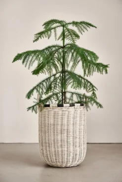 OYOY Boo Opbevaringskurv Høj, Natur