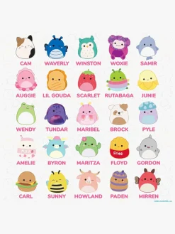 Squishmallows Viskelædere 25 Stk.