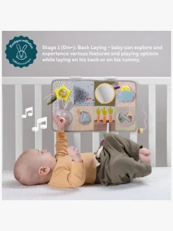 TAF Toys Udviklende Aktivitetslegetøj