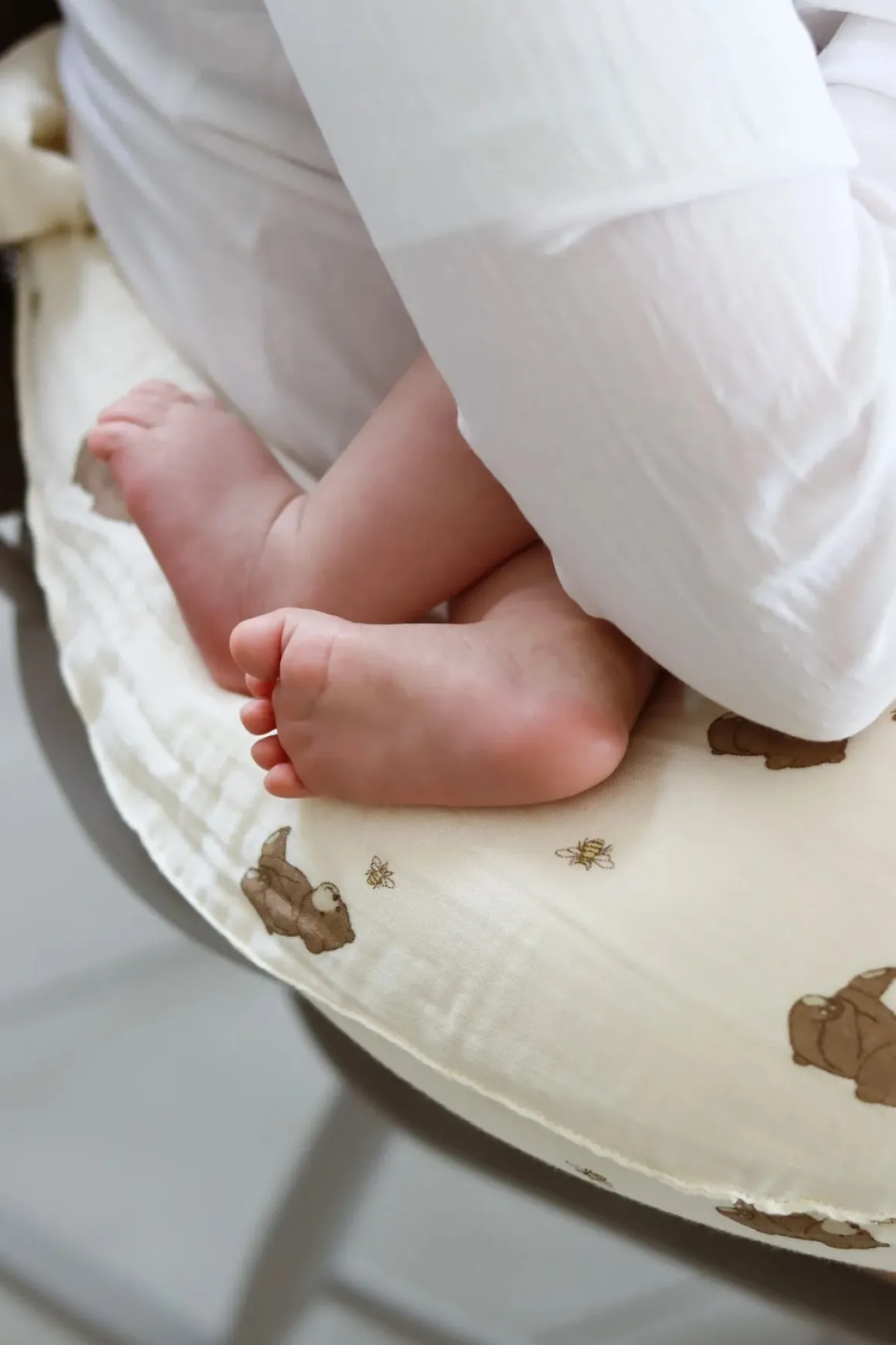 That's Mine Moon Ammepude, Bees and Bears