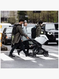 Thule Shine Kaleche Luftrenser, Blue