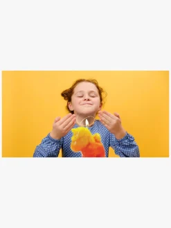 Toyrock STEM Lysfabrik