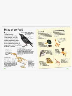 Ud i naturen - Fugle