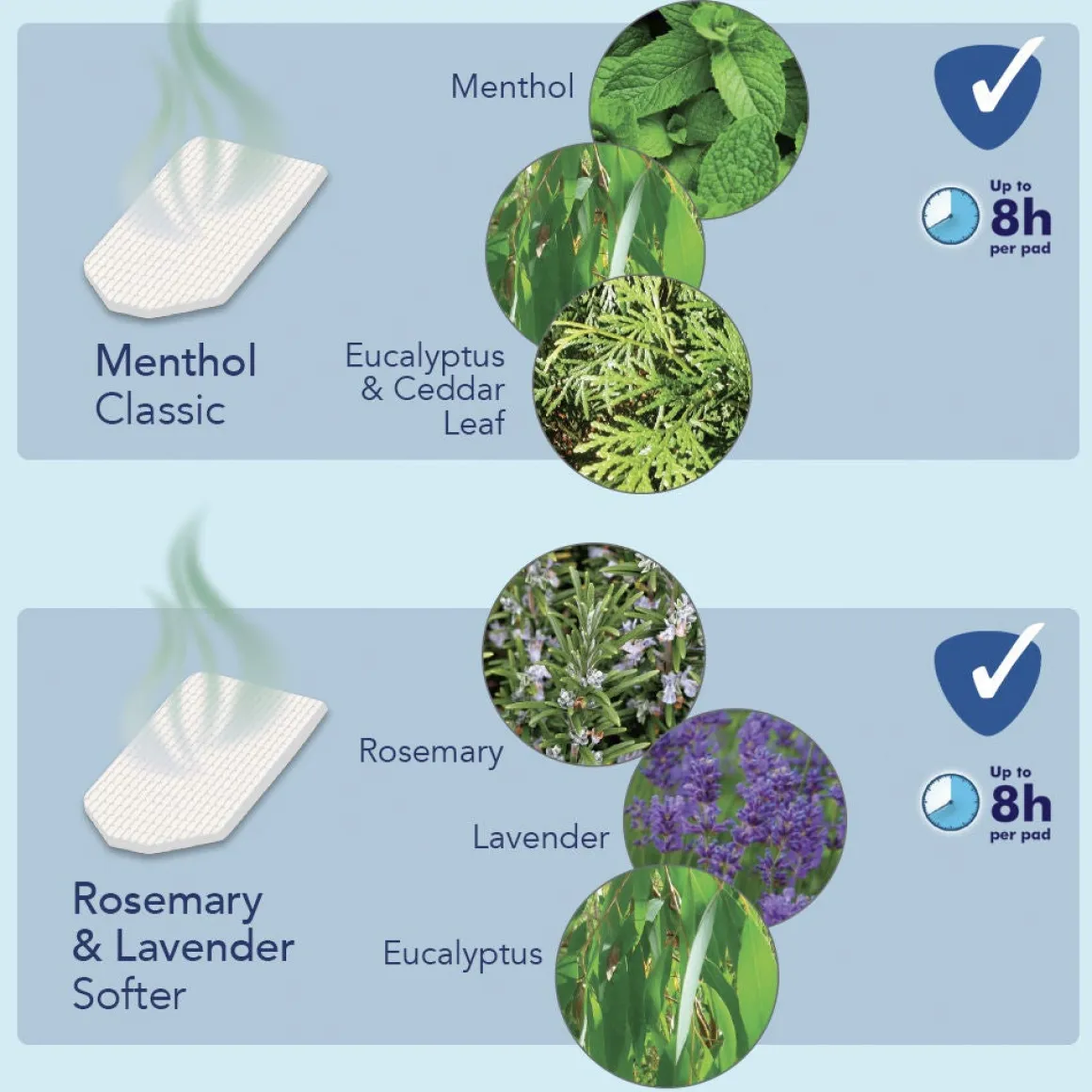 Vicks Duftfilter Rosmarin & Lavendel