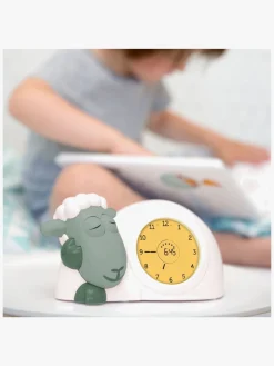 ZAZU Sam Søvntræner, Sage